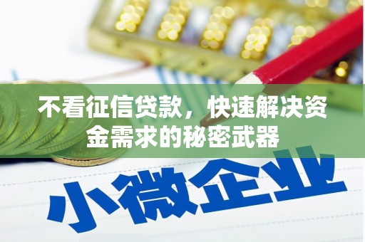 信宜不看征信贷款，快速解决资金需求的秘密武器