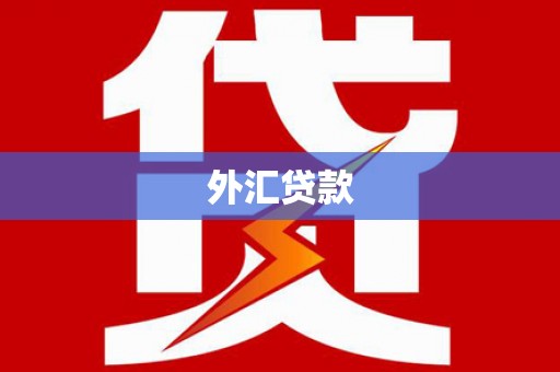 信宜外汇贷款