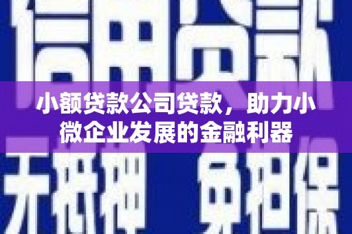 信宜小额贷款公司贷款，助力小微企业发展的金融利器