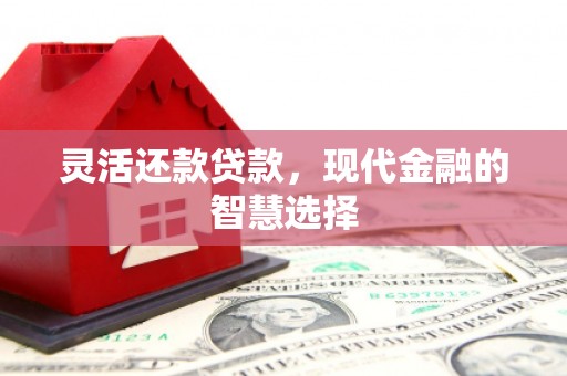 信宜灵活还款贷款，现代金融的智慧选择