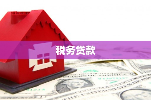 信宜税务贷款