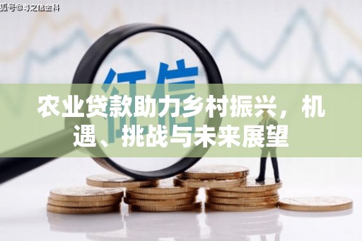 信宜农业贷款助力乡村振兴，机遇、挑战与未来展望