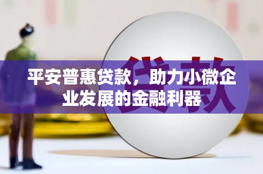 信宜平安普惠贷款，助力小微企业发展的金融利器