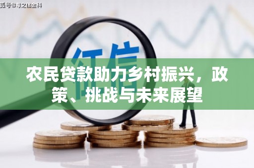 信宜农民贷款助力乡村振兴，政策、挑战与未来展望