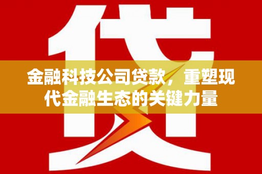 信宜金融科技公司贷款，重塑现代金融生态的关键力量
