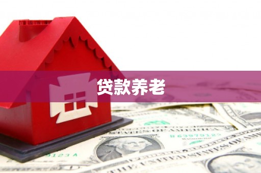 信宜贷款养老
