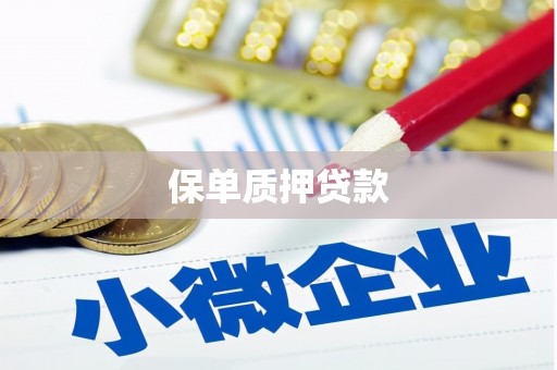 信宜保单质押贷款