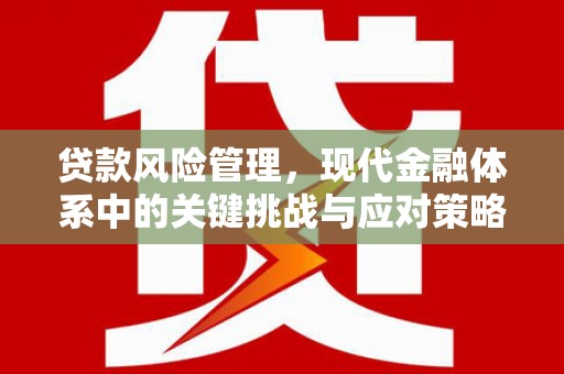信宜贷款风险管理，现代金融体系中的关键挑战与应对策略