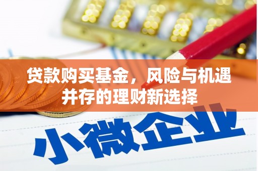 信宜贷款购买基金，风险与机遇并存的理财新选择