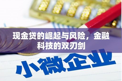 信宜现金贷的崛起与风险，金融科技的双刃剑