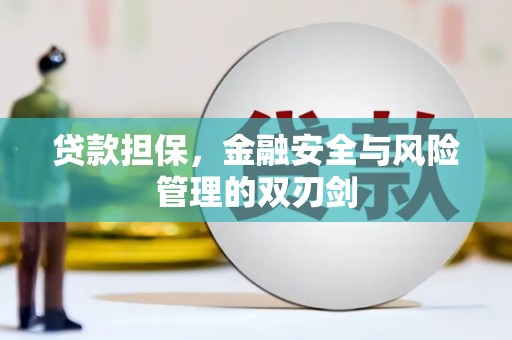 信宜贷款担保，金融安全与风险管理的双刃剑