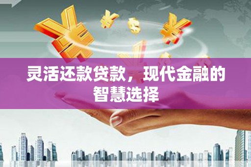 信宜灵活还款贷款，现代金融的智慧选择
