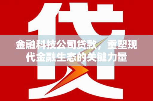 信宜金融科技公司贷款，重塑现代金融生态的关键力量