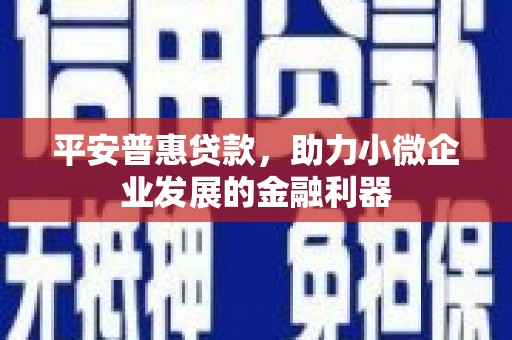 信宜平安普惠贷款，助力小微企业发展的金融利器