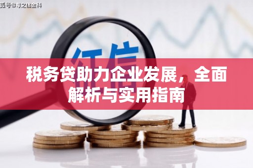 信宜税务贷助力企业发展，全面解析与实用指南