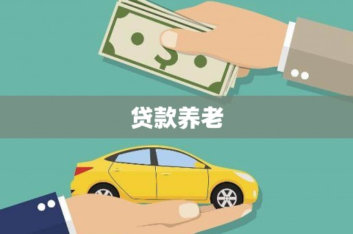 信宜贷款养老