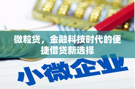 信宜微粒贷，金融科技时代的便捷借贷新选择