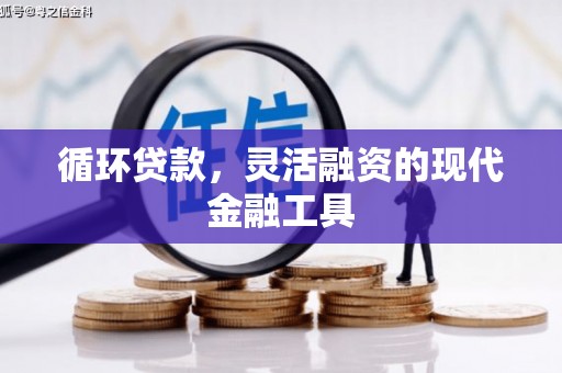 信宜循环贷款，灵活融资的现代金融工具