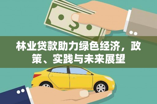信宜林业贷款助力绿色经济，政策、实践与未来展望