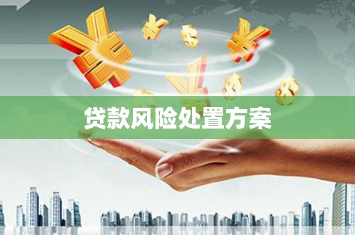 信宜贷款风险处置方案