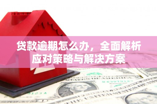 信宜贷款逾期怎么办，全面解析应对策略与解决方案