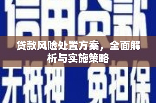 信宜贷款风险处置方案，全面解析与实施策略