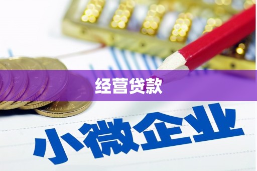 信宜经营贷款
